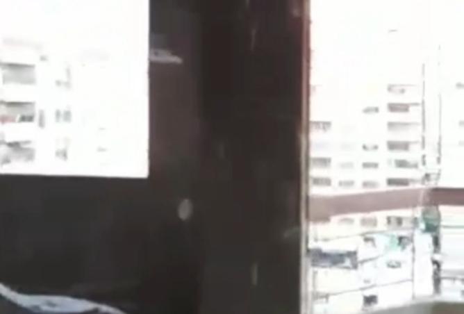 7925244 - صورة العقار 2