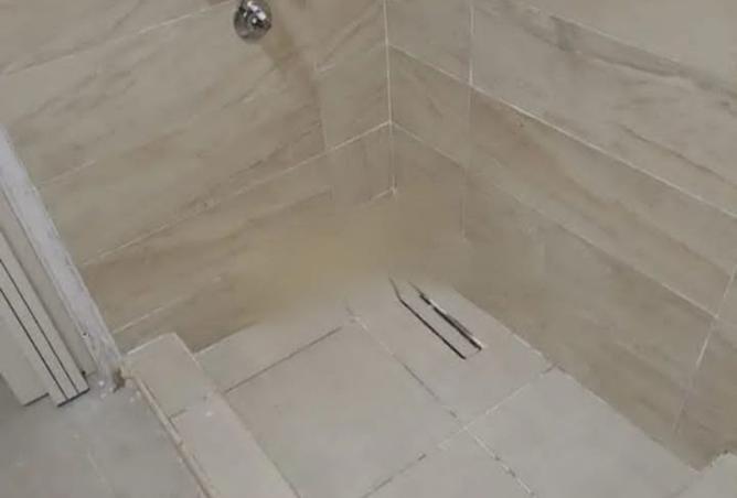 8191107 - Property Image 3