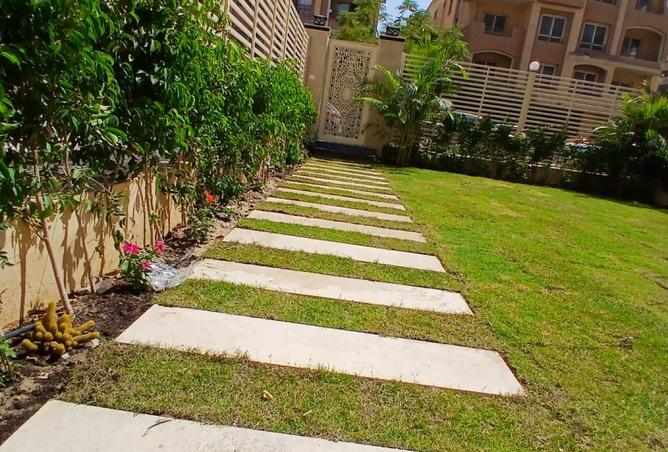 8107680 - Property Image 3