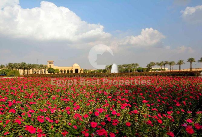 8053443 - صورة العقار 3