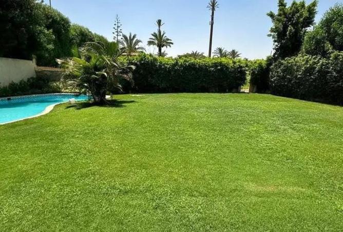 7892800 - صورة العقار 3