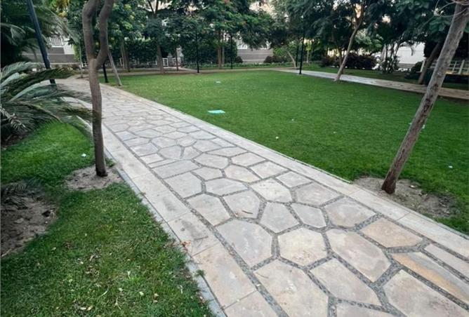 8010927 - Property Image 3