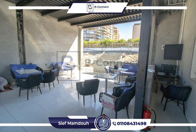 8146866 - Property Image 3