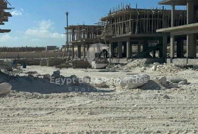 8153568 - صورة العقار 3