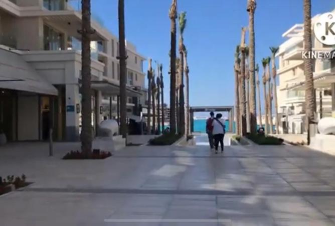 8271327 - Property Image 3