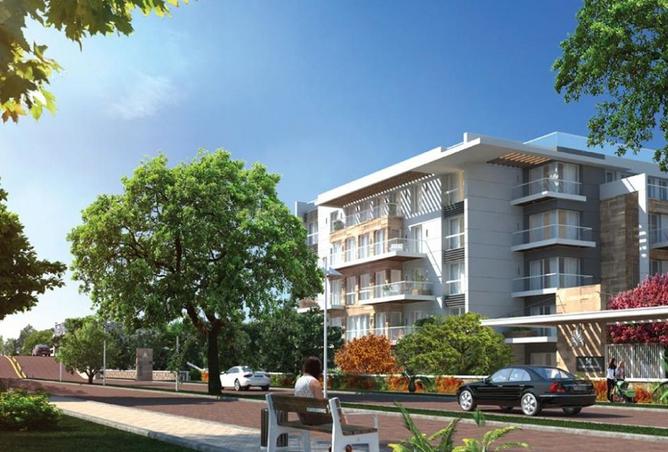 8067922 - Property Image 3