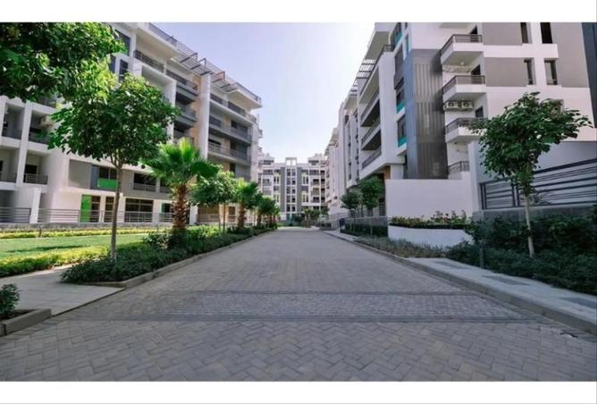 8262920 - Property Main Image