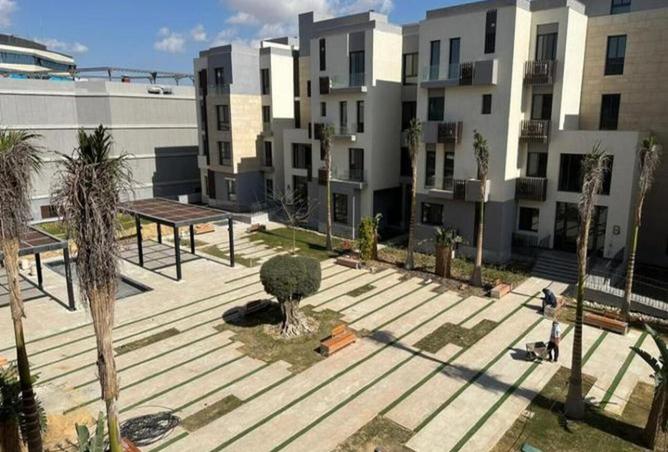 8249444 - Property Image 3