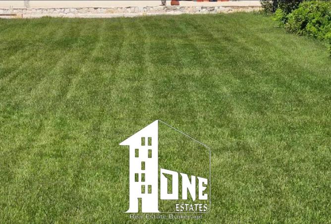 8557197 - Property Image 2