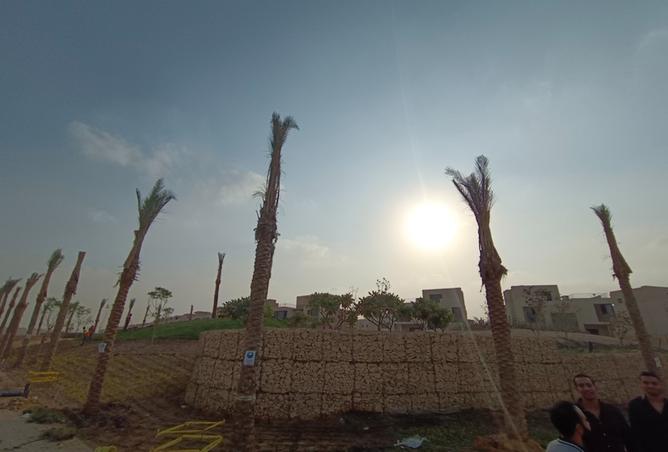 7903054 - صورة العقار 2