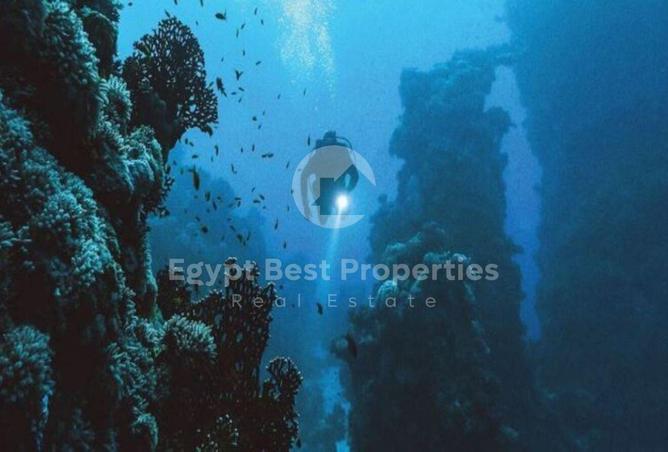 8210182 - صورة العقار 3