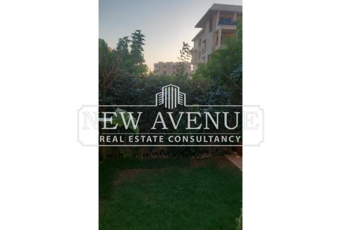 8316236 - Property Main Image