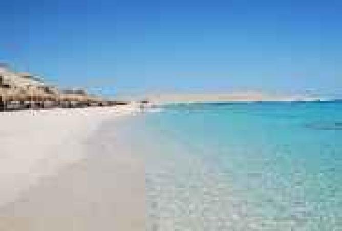 8286208 - الصورة الرئيسية للعقار