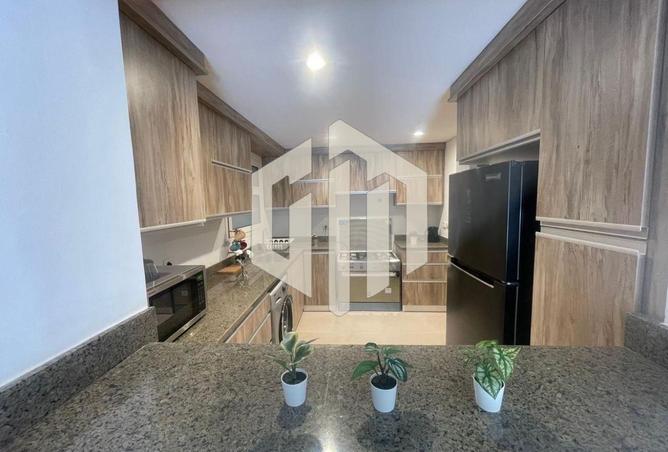 8042073 - Property Image 3