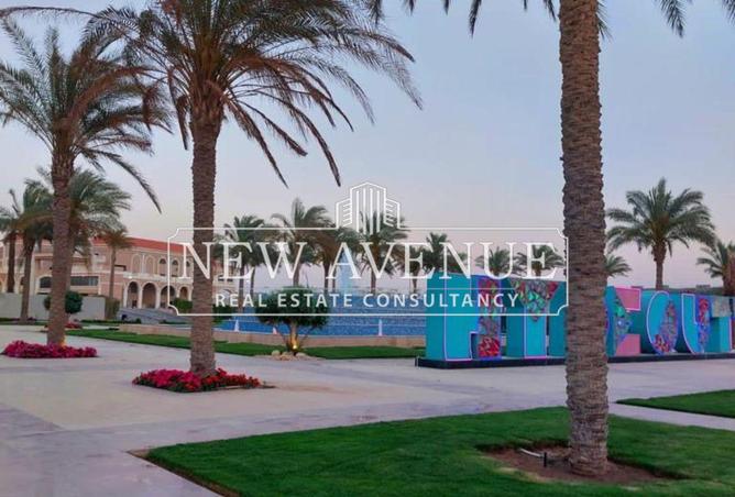 8417609 - Property Image 3