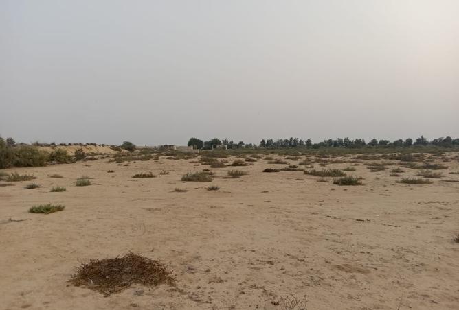 8338787 - صورة العقار 2