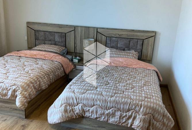 8137459 - Property Image 3
