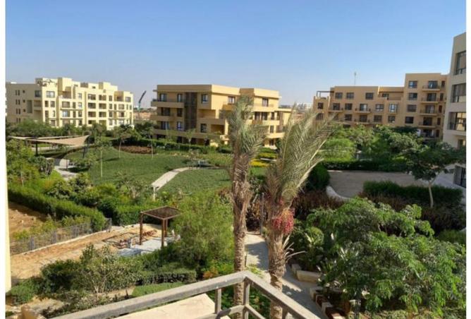 8293984 - Property Image 2