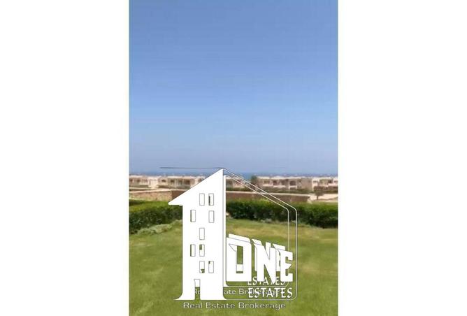 8420537 - Property Image 3