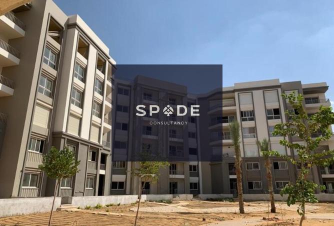 8400833 - Property Image 3