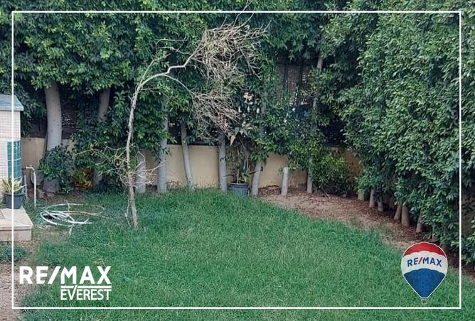 8231052 - صورة العقار 2