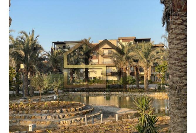 8303547 - صورة العقار 3