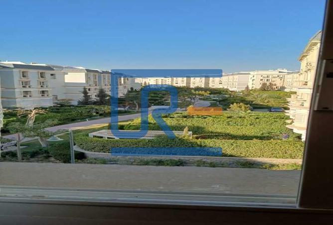 8062282 - Property Image 3