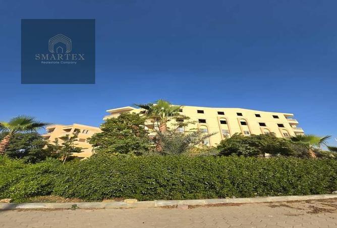 7074372 - صورة العقار 3