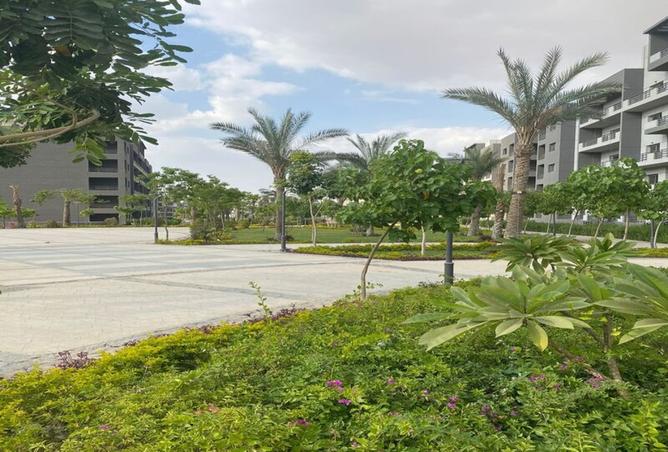 8057072 - الصورة الرئيسية للعقار