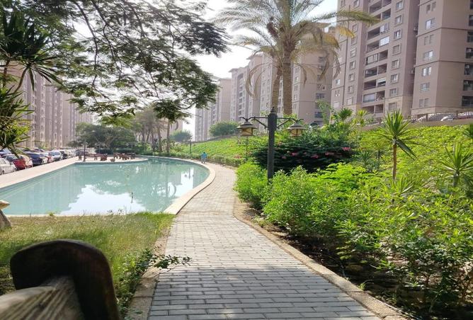 8491380 - Property Image 3