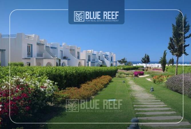 8445239 - Property Image 3