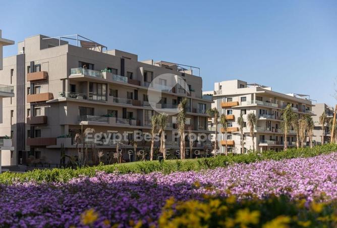 7913163 - Property Main Image