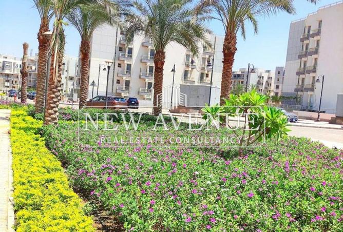 8171156 - الصورة الرئيسية للعقار