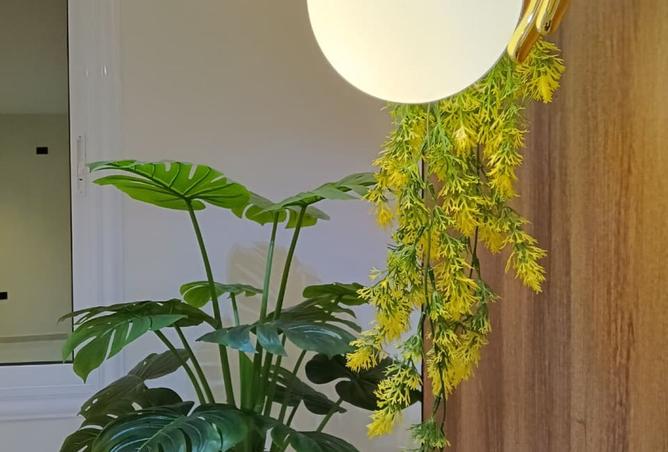 8471315 - Property Image 3