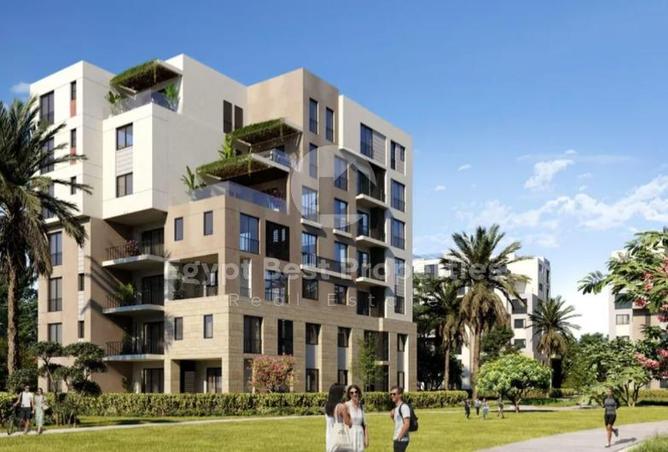 7970956 - Property Image 3