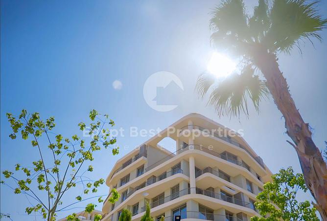 8377006 - Property Image 2