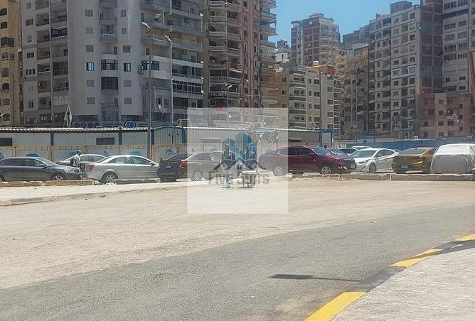 7971576 - Property Image 3