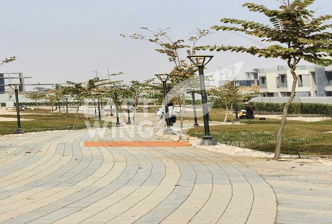 8066206 - صورة العقار 3