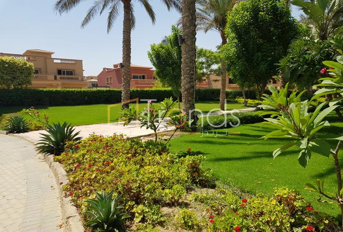 7974848 - صورة العقار 3