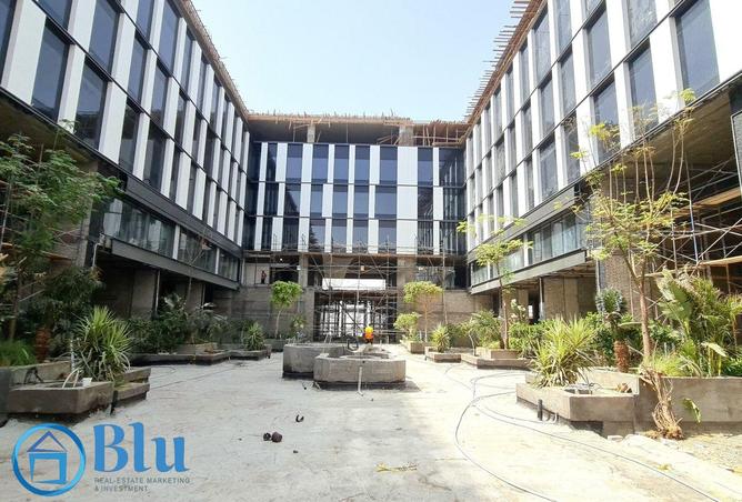 8038658 - صورة العقار 3