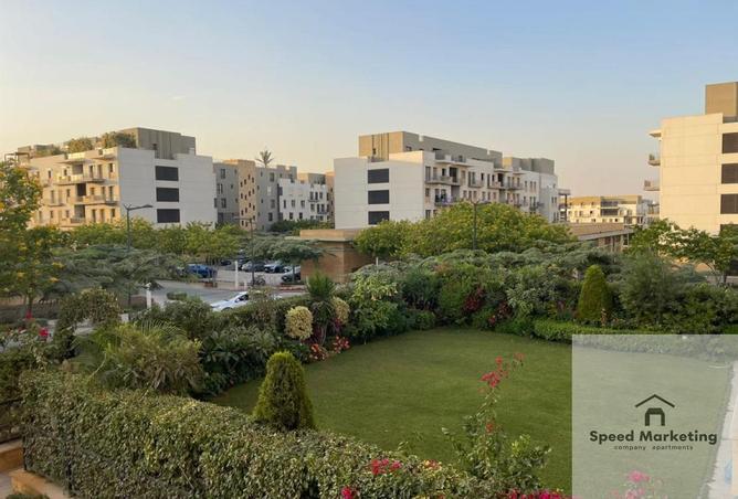 8407829 - الصورة الرئيسية للعقار