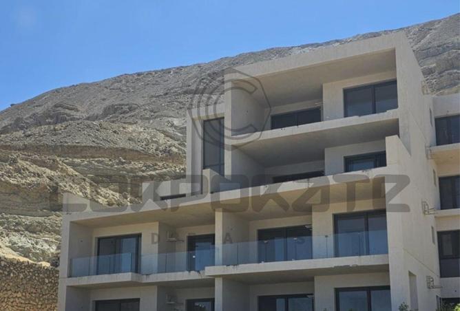 8163594 - Property Image 3