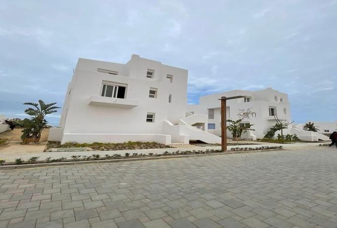 8000375 - صورة العقار 2