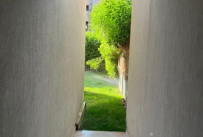 8277830 - Property Image 2