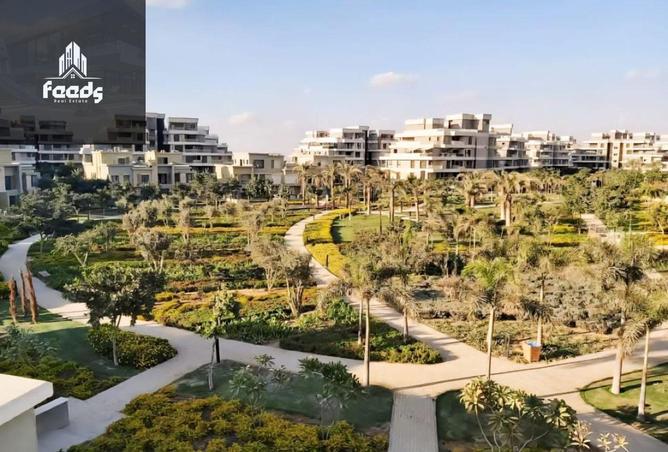 7961558 - صورة العقار 3