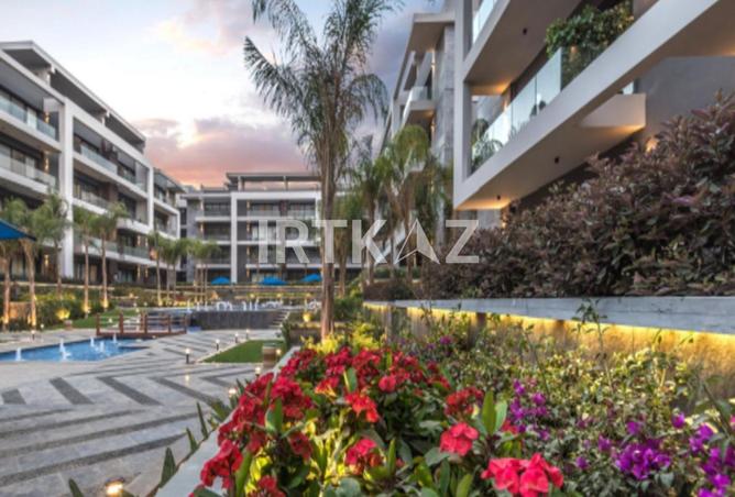 8222118 - Property Image 3