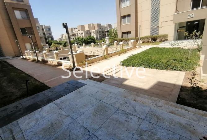 8187163 - Property Image 3