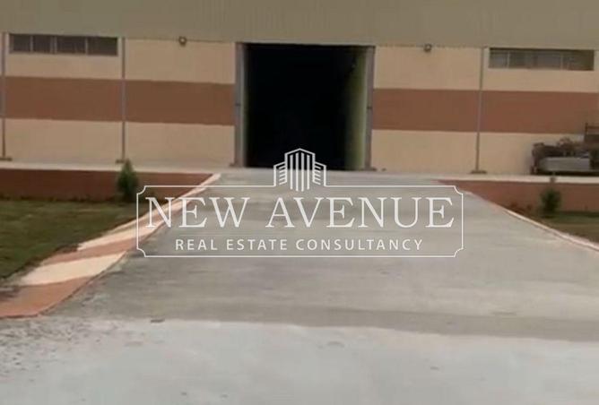 8301601 - صورة العقار 2