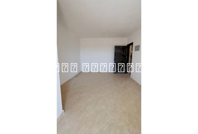 8380531 - Property Image 3