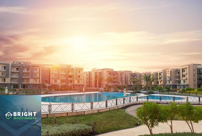 8181611 - Property Image 3